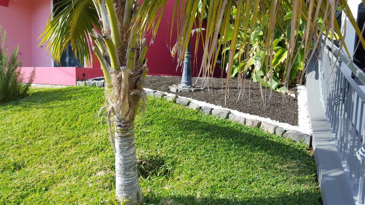 Pink House Ponta do Sol (Madeira) Exterior foto